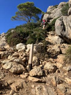 GR 221