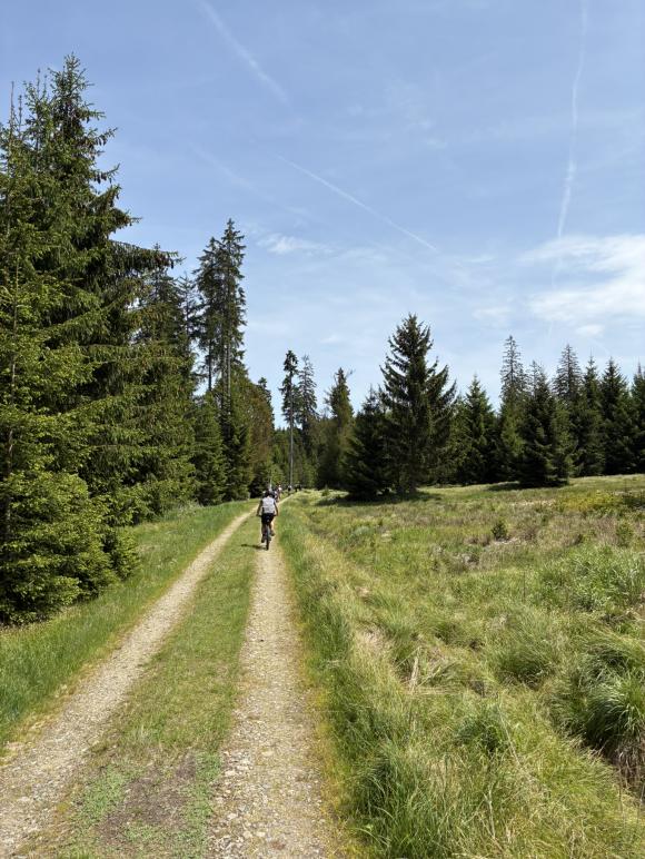 Cyklovýlet